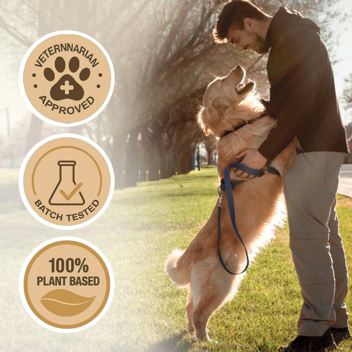 RZXEA™ Joint Rejuvenation Drops