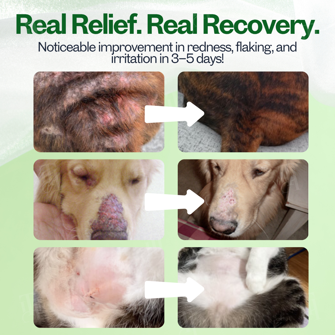 RZXEA™ 3 in 1 PhytoBarrier Pet Skin and Coat Care Spray