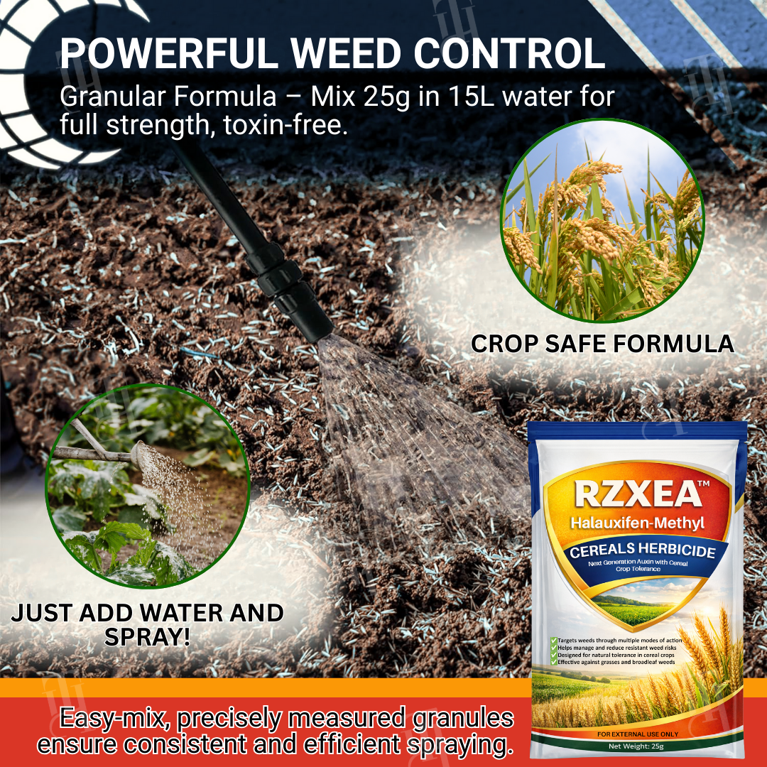 RZXEA™ Halauxifen-methyl Cereals Herbicide
