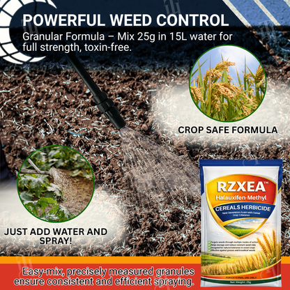 RZXEA™ Halauxifen-methyl Cereals Herbicide