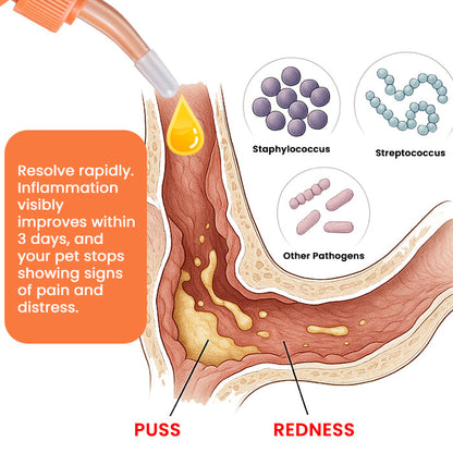 RZXEA™ EarEase Herbal Drops