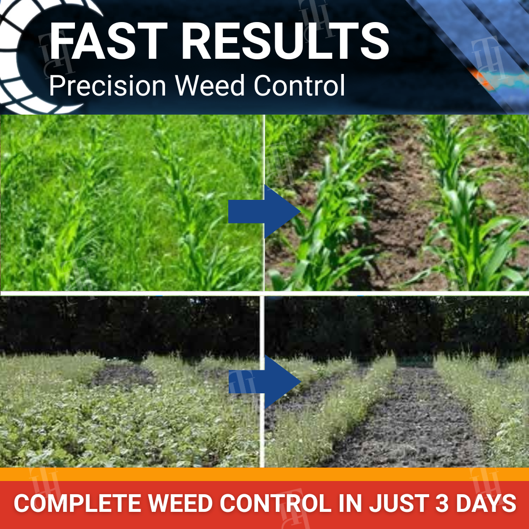 RZXEA™ Halauxifen-methyl Cereals Herbicide