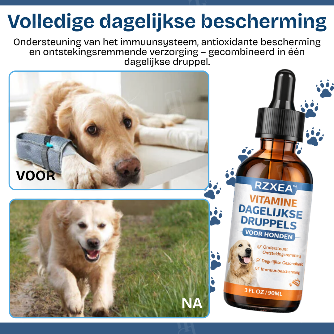 RZXEA™ Vitamine Dagelijkse Druppels