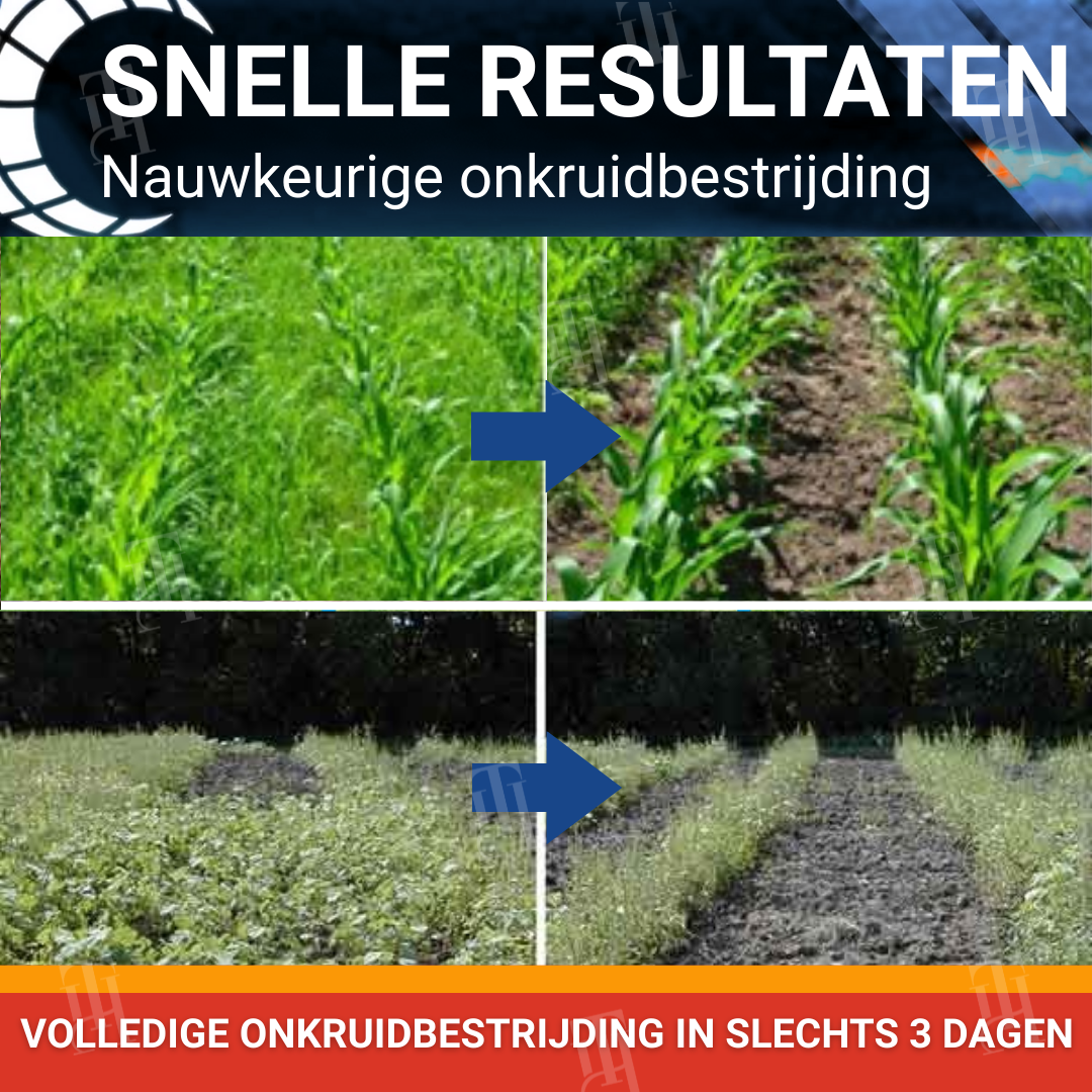 RZXEA™ Halauxifen-methyl Graanherbicide