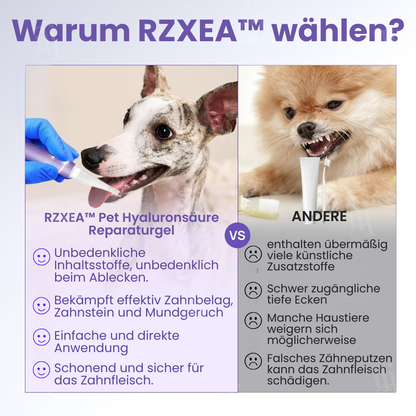 RZXEA™ Pet Hyaluronsäure Reparaturgel
