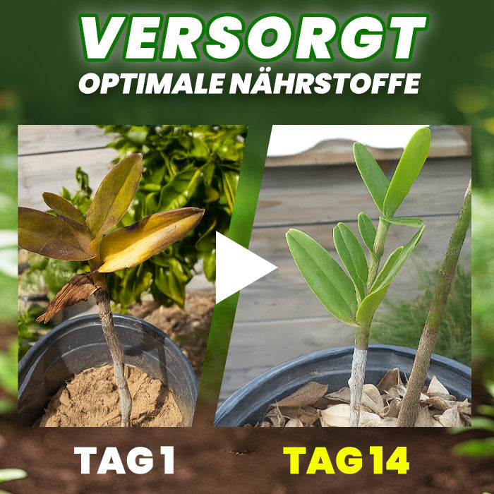 RZXEA® Organische Düngertabletten
