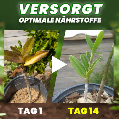 RZXEA® Organische Düngertabletten