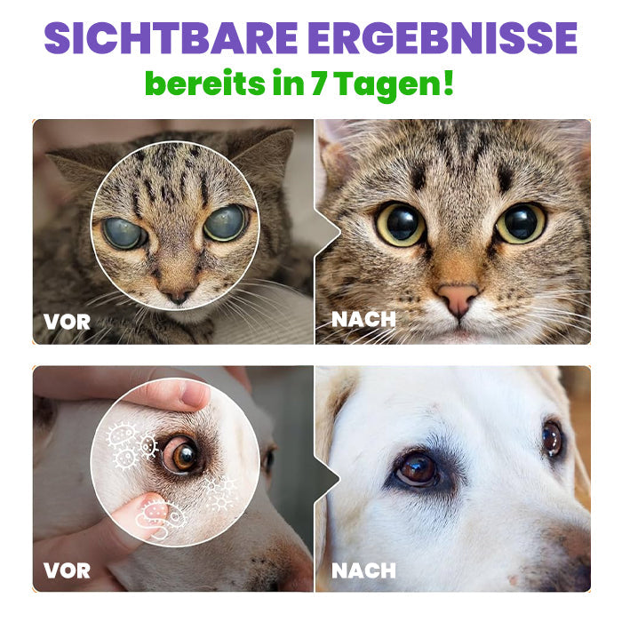 RZXEA™ PetPro Augentropfen